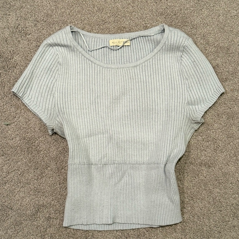LA Hearts by PacSun ripped light blue cropped top
